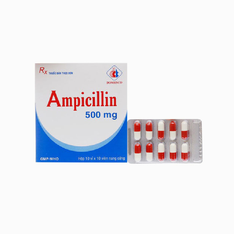 Thuốc kháng sinh trị nhiễm khuẩn Ampicilin 500mg Domesco | Hộp 100 viên
