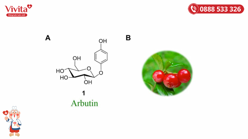 Arbutin là thành phần quen thuộc làm trắng da, trị nám, tàn nhang trong mỹ phẩm