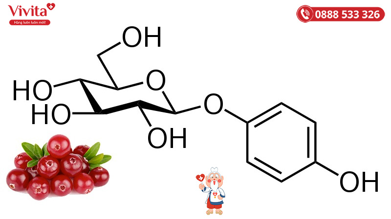 Arbutin là phân tử được chiết xuất từ cây berry, ​​có tác dụng ngăn chặn sự hình thành sắc tố melanin