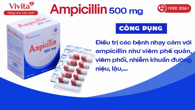 Công dụng (Chỉ định) của kháng sinh Ampicilin 500mg Domesco