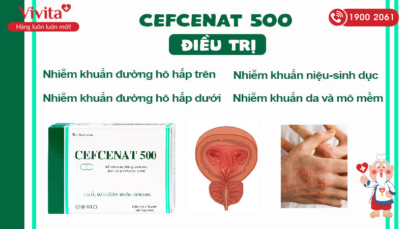 Công dụng của thuốc kháng sinh Cefcenat 500