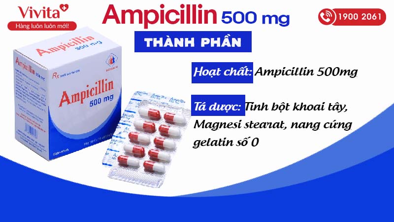 Thành phần của thuốc Ampicilin 500mg Domesco