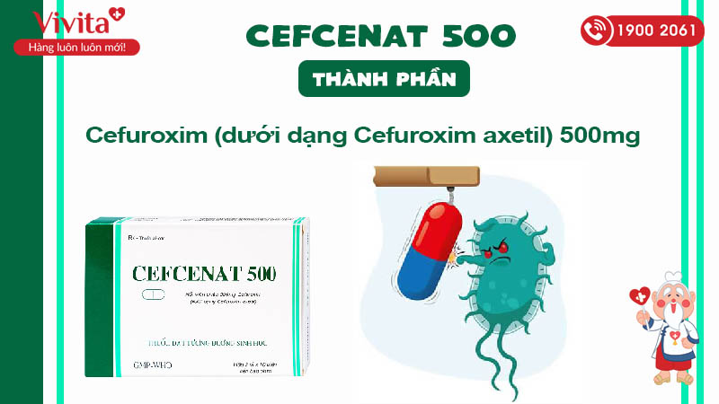 Thành phần thuốc kháng sinh trị nhiễm khuẩn Cefcenat 500