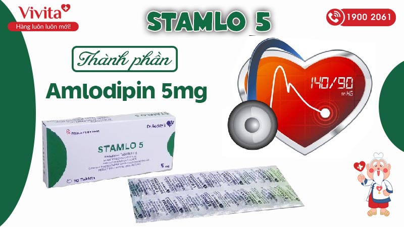 Thành phần thuốc trị tăng huyết áp Stamlo 5