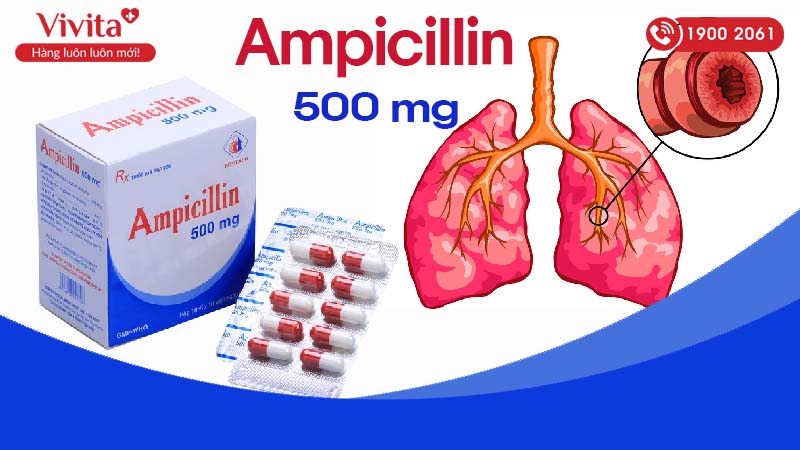 Thuốc kháng sinh trị nhiễm khuẩn Ampicilin 500mg Domesco