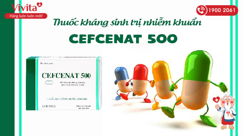Thuốc kháng sinh trị nhiễm khuẩn Cefcenat 500