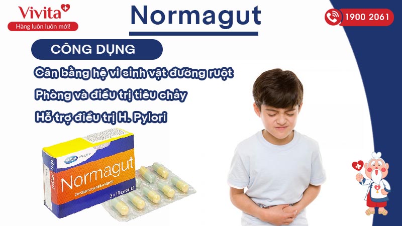 Công dụng (Chỉ định) của men vi sinh Normagut
