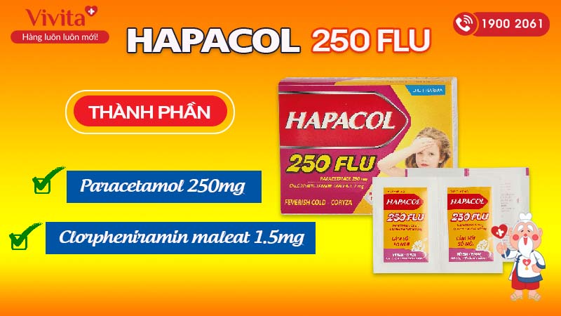 Thành phần của Hapacol 250 Flu