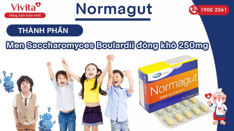 Thành phần của men vi sinh Normagut