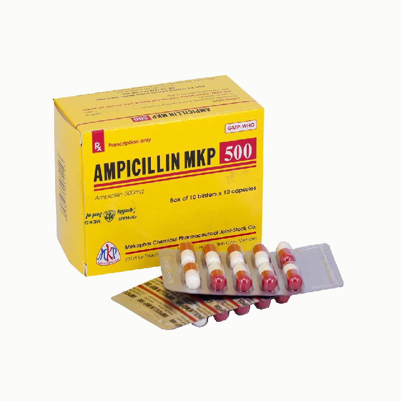 Thuốc kháng sinh trị nhiễm khuẩn Ampicilin MKP 500 | Hộp 100 viên