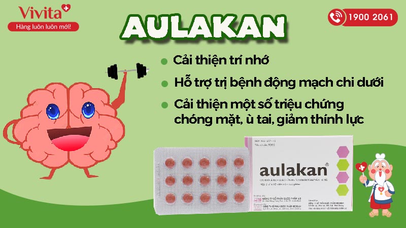 Công dụng (Chỉ định) thuốc cải thiện trí nhớ, tuần hoàn máu não Aulakan 40mg