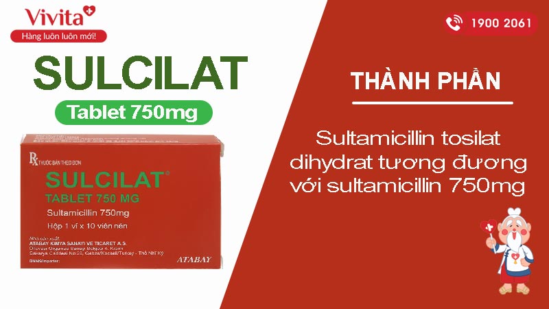 Thành phần thuốc Sulcilat 750mg 