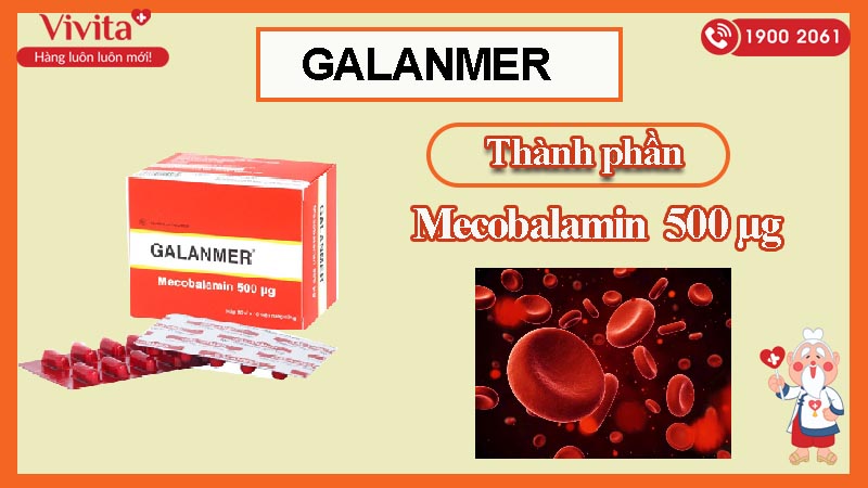 Thành phần của thuốc bổ sung vitamin B12 Galanmer
