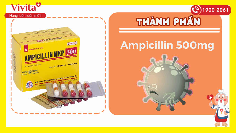 Thành phần của thuốc Ampicilin MKP 500