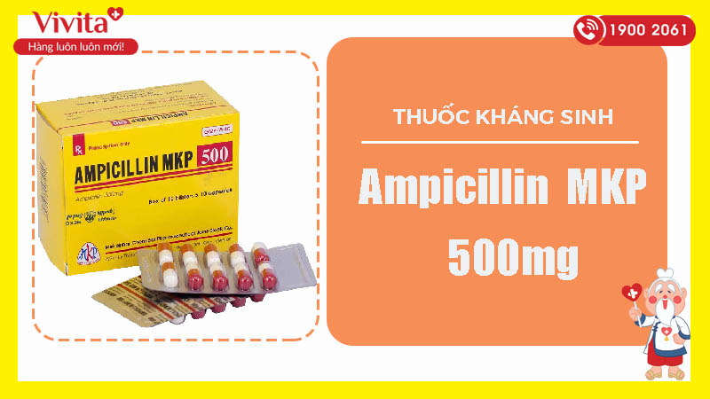 Ampicilin MKP 500