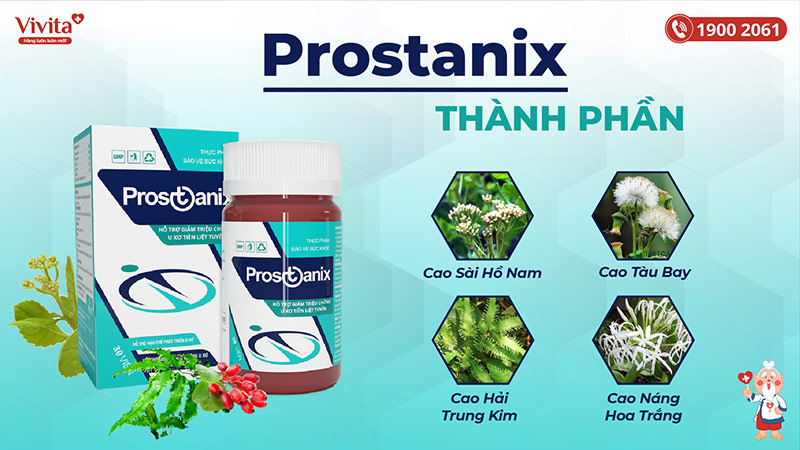 thành phần Prostanix