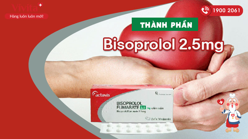 Thành phần của thuốc trị tăng huyết áp, suy tim Bisoprolol Fumarate 2.5mg