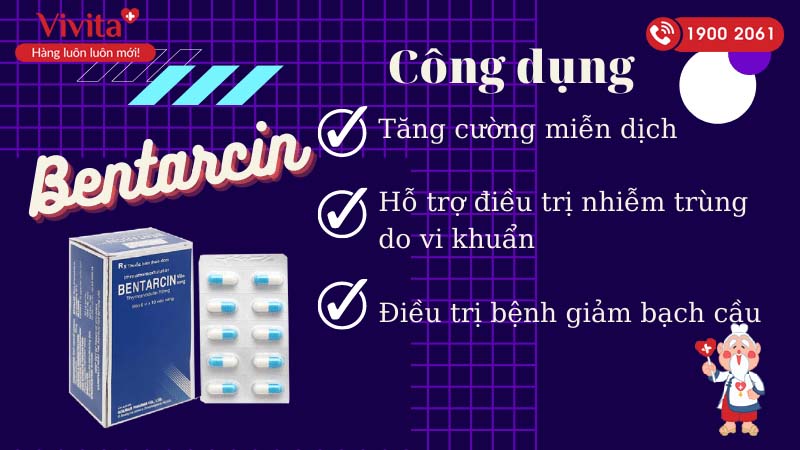 Công dụng (Chỉ định) của thuốc kích thích và tăng cường hệ miễn dịch Bentarcin capsule