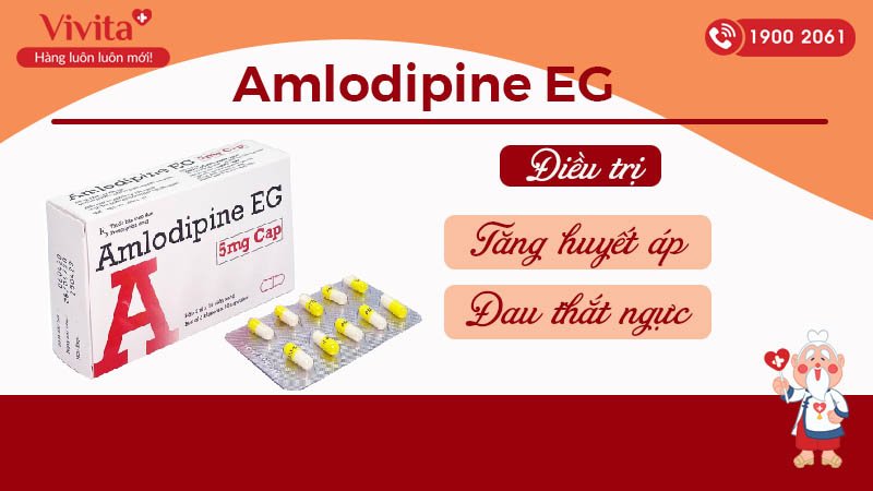 Công dụng (Chỉ định) của thuốc trị tăng huyết áp, đau thắt ngực Amlodipin EG 5mg CAP Pymepharco