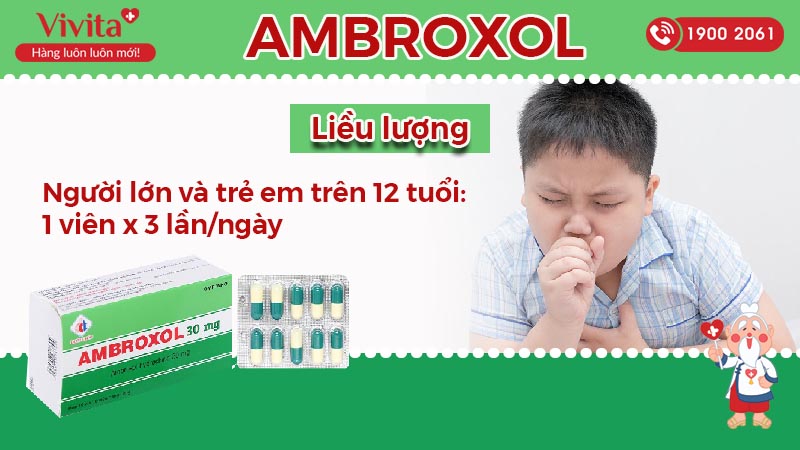 Thành phần của thuốc tiêu đờm Ambroxol 30mg Domesco