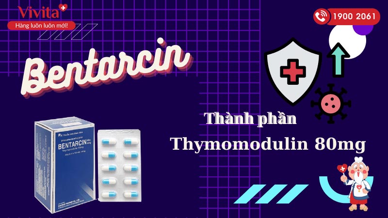 Thành phần thuốc kích thích và tăng cường hệ miễn dịch Bentarcin capsule