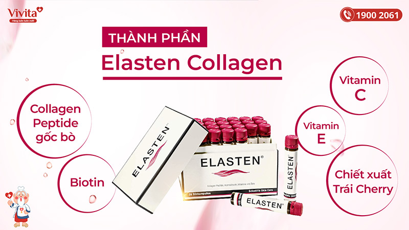 thành phần elasten collagen