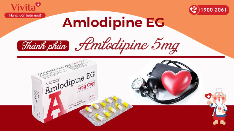 Thành phần của thuốc trị tăng huyết áp, đau thắt ngực Amlodipin EG 5mg CAP Pymepharco