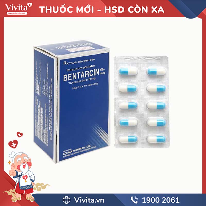 Thuốc kích thích và tăng cường hệ miễn dịch Bentarcin capsule | Hộp 60 viên