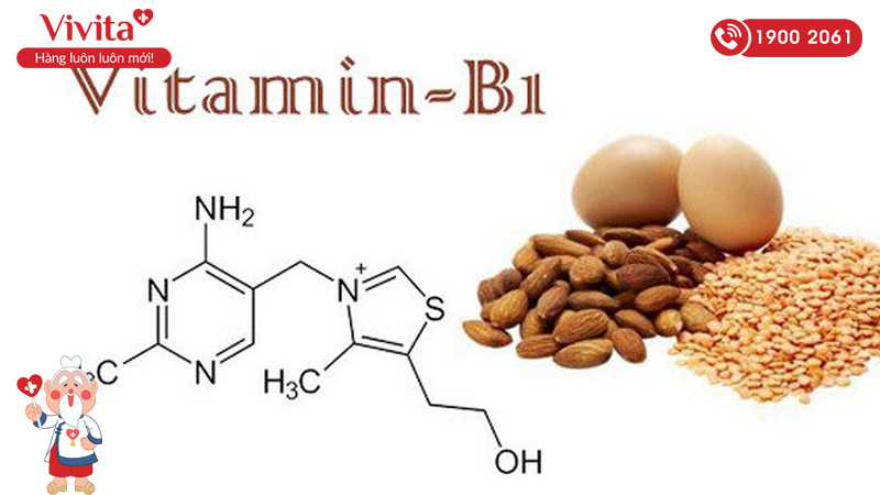 vitamin B1 kích thích mọc tóc