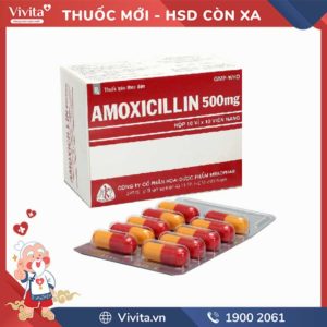 Thuốc kháng sinh trị nhiễm khuẩn Amoxicillin 500mg Mekophar