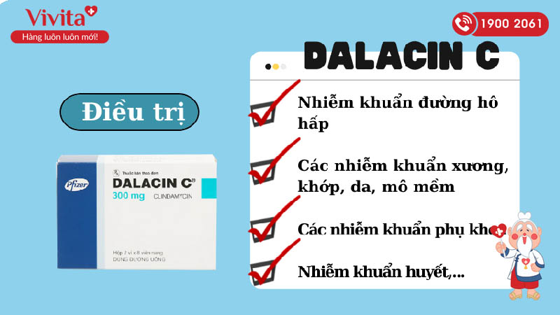 Công dụng (Chỉ định) của thuốc kháng sinh trị nhiễm khuẩn Dalacin C