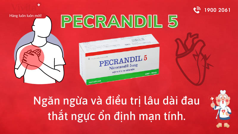 Công dụng (Chỉ định) của thuốc phòng và điều trị đau thắt ngực Pecrandil 5mg