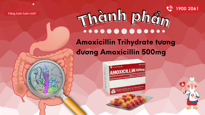 Thành phần của thuốc kháng sinh trị nhiễm khuẩn Amoxicillin 500mg Mekophar