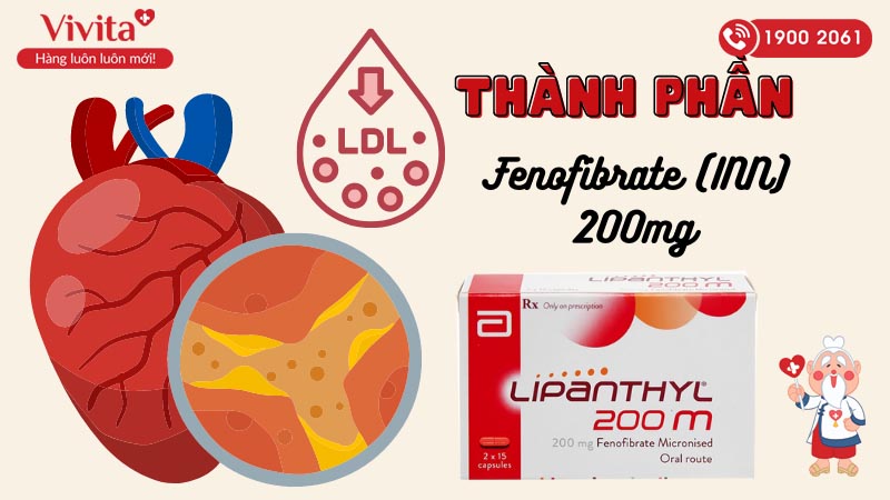 Thành phần của thuốc trị tăng mỡ máu Lipanthyl 200 M