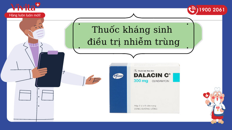Thuốc kháng sinh trị nhiễm khuẩn Dalacin C