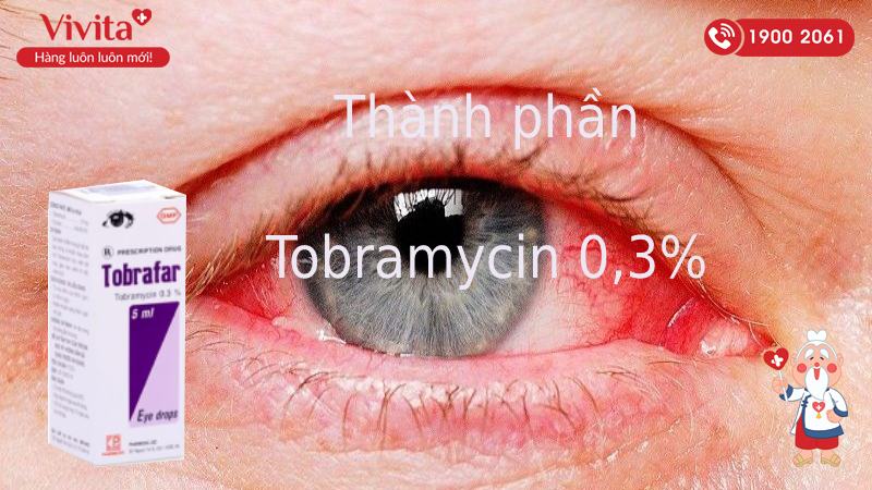 Thành phần thuốc nhỏ mắt Tobrafar