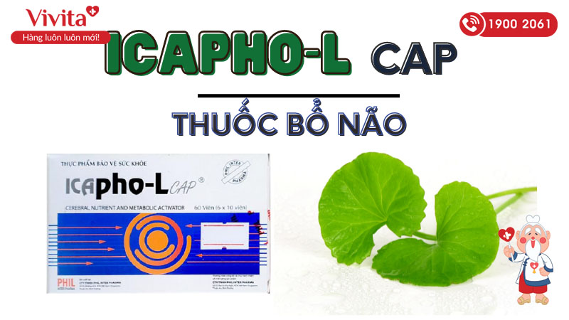 Thuốc bổ não Icapho-L CAP 