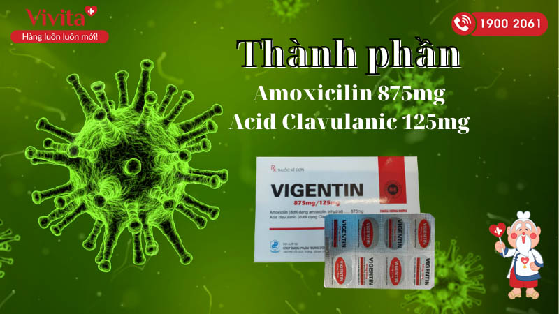 Thành phần thuốc kháng sinh trị nhiễm khuẩn Vigentin 875mg/125mg