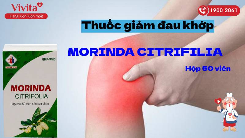 Morinda Citrifolia 100mg giảm đau khớp
