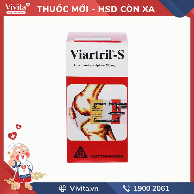 Thuốc giảm thoái hóa khớp Viartril-S 250mg | Hộp 80 viên