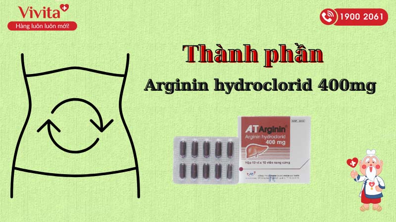 Thành phần thuốc trợ tiêu hóa A.T Arginin 400mg