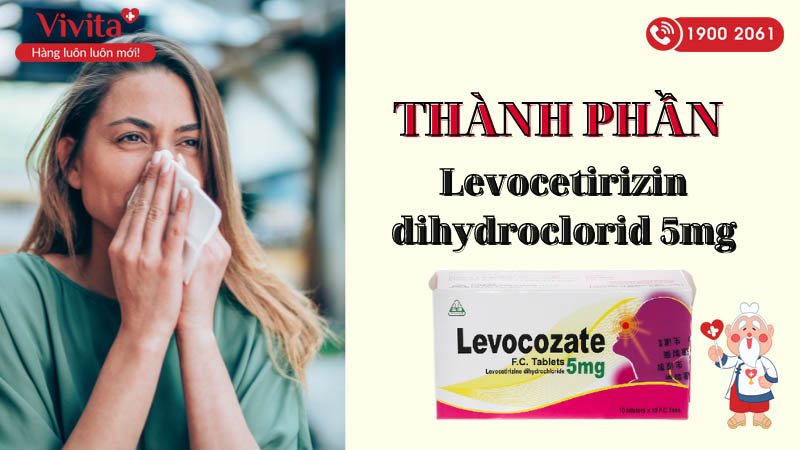 Thành phần của thuốc trị viêm mũi dị ứng, mày đay Levocozate 