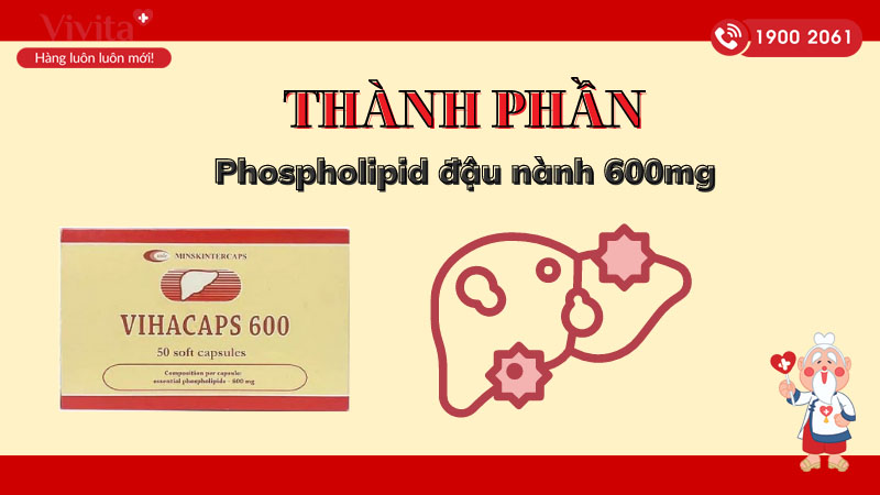 Thành phần thuốc cải thiện chức năng gan Vihacaps 600