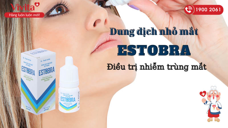 Thuốc nhỏ mắt trị nhiễm khuẩn Estobra