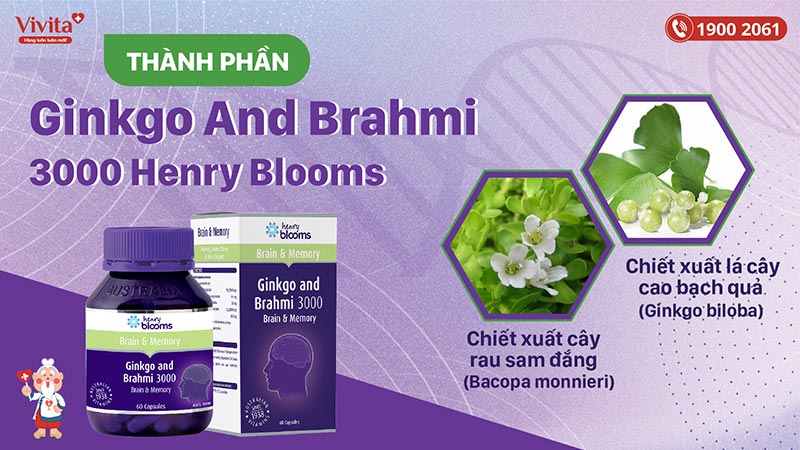 thành phần ginkgo and brahmi 3000 henry blooms