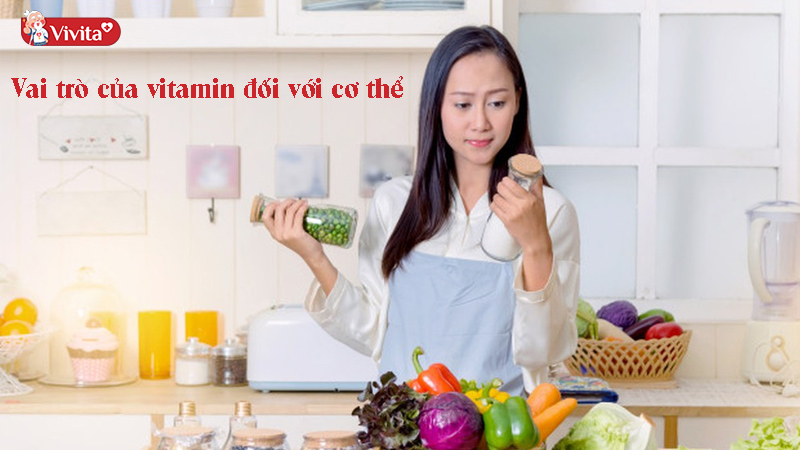 Vitamin là dưỡng chất quan trọng cho quá trình chuyển đổi chất