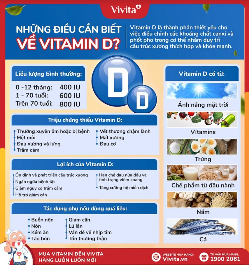 vitamin d la gi vitamin d co nhieu trong thuc pham nao