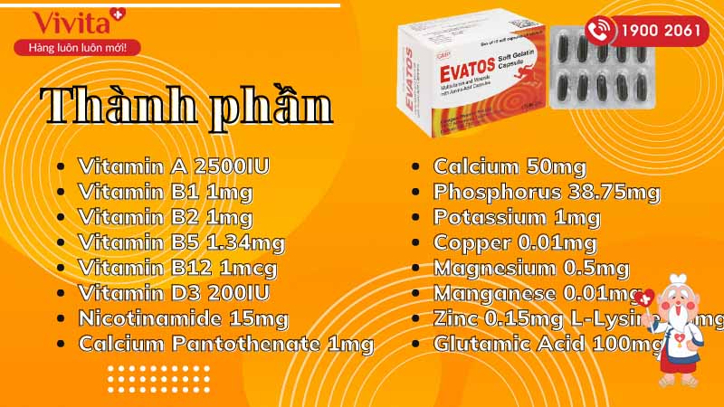 Thành phần của thuốc bổ sung vitamin và khoáng chất Evatos