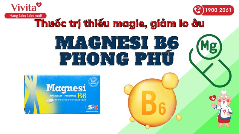 Magnesi B6 Phong Phú