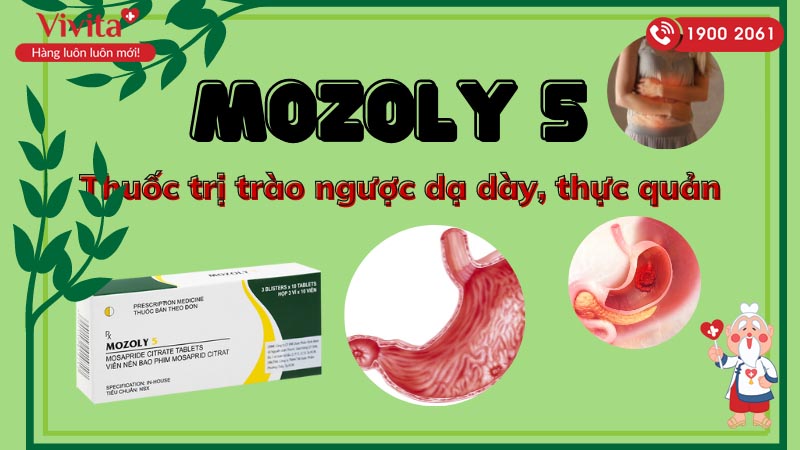 Thuốc trị trào ngược dạ dày, thực quản Mozoly 5
